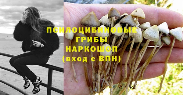 MDMA Premium VHQ Краснослободск