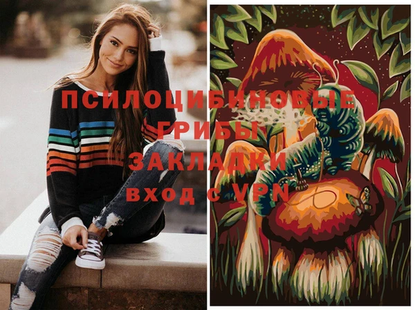 MDMA Premium VHQ Краснослободск