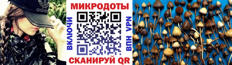 Купить  Нестеров  Псилоцибиновые грибы GOLDEN TEACHER 